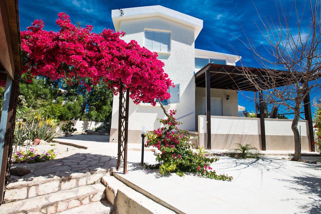 Merab Center Villas Agia Napa Buitenkant foto
